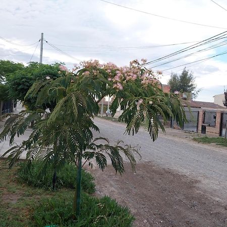 Habitacion Privada En La Casa De Thor Trelew Eksteriør billede