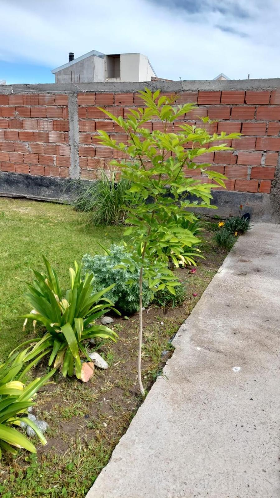 Habitacion Privada En La Casa De Thor Trelew Eksteriør billede