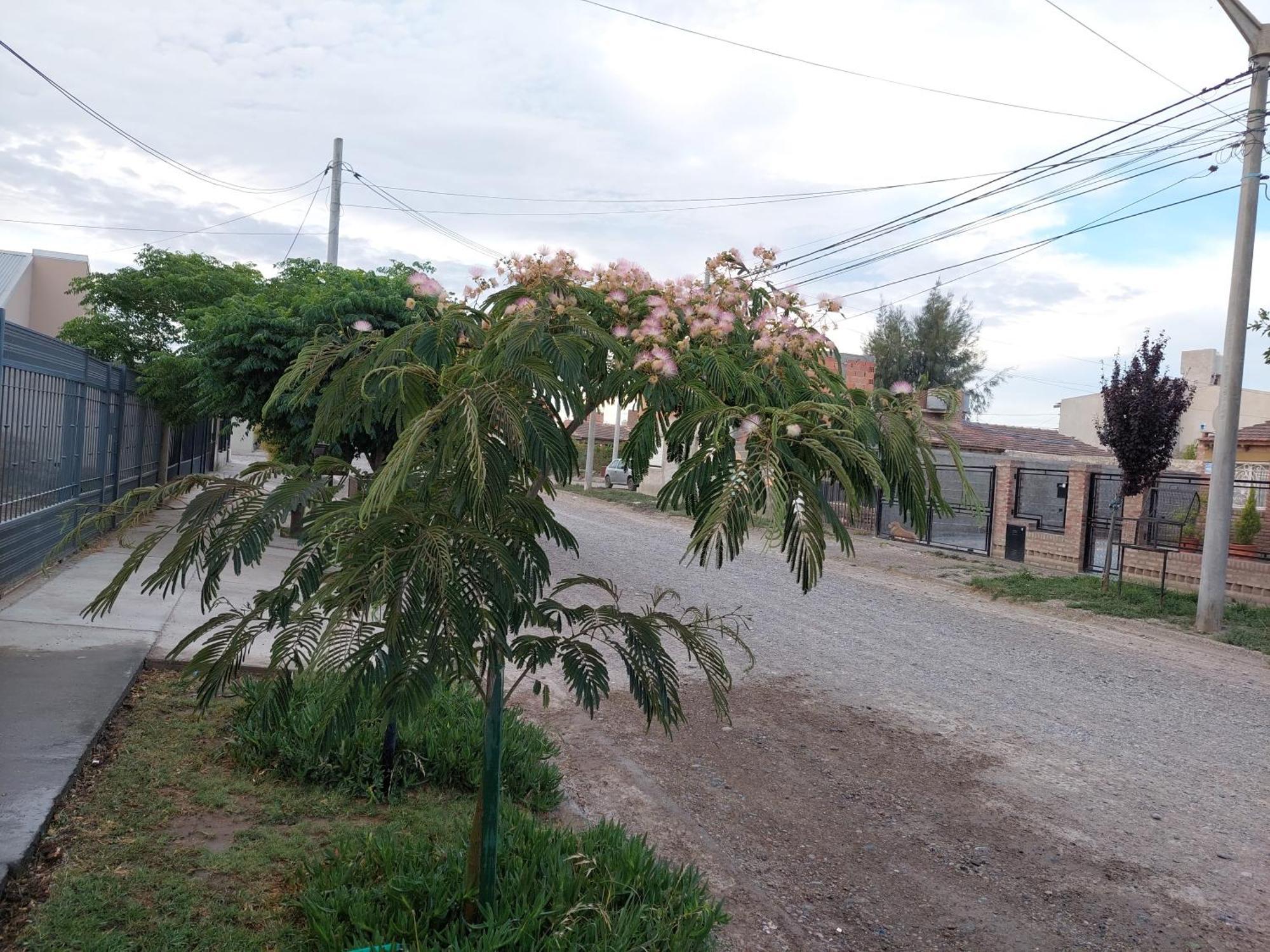 Habitacion Privada En La Casa De Thor Trelew Eksteriør billede